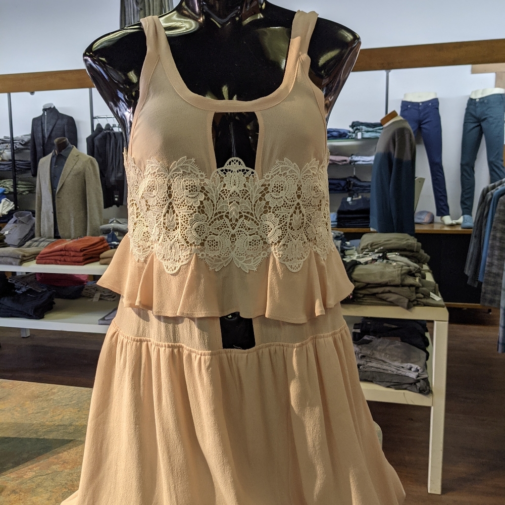 For Love & Lemons Sienna Dusrose dress, Small